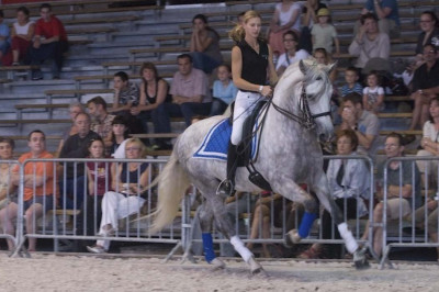 Grand prix « Belgique »