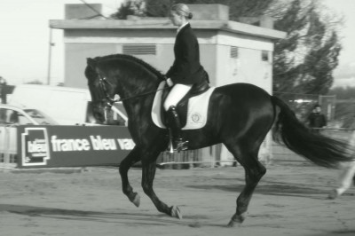 Final européenne jeune chevaux MCI, St-George, « Belgique »