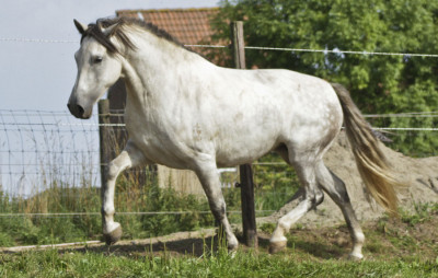 Belgique