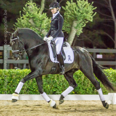 2013  Master Cheval Ibérique <div>Faraon Alegria</div>