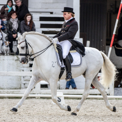 2013 Master Cheval Ibérique <div>Alegre</div>