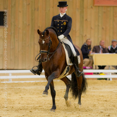 2014  Master Cheval Ibérique <div>Gibraltar Alegria</div>