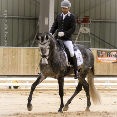 2014 Master Cheval Ibérique <div>Jubilo-4ans</div>