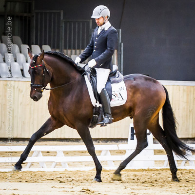 2014  Master Cheval Ibérique <div>Faro Alegria</div>