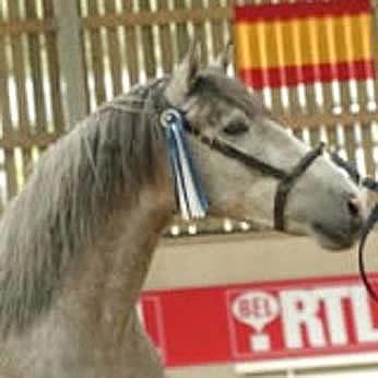 guardamar1.jpg