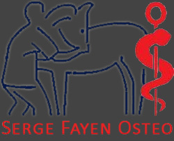 Logo Serge Fayen Osteo